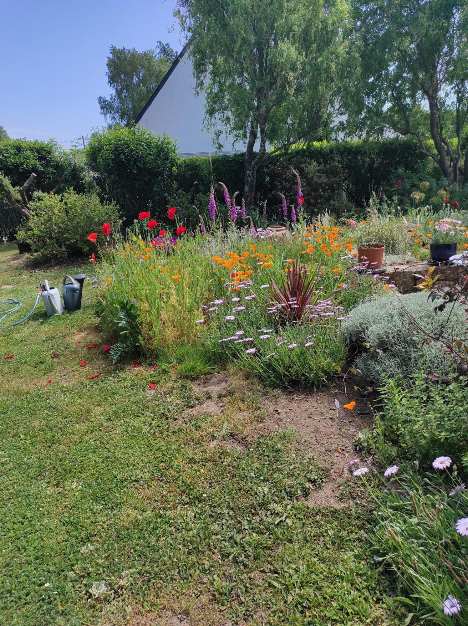 grand studio duplex avec jardin La Trinité-sur-Mer Exterior foto